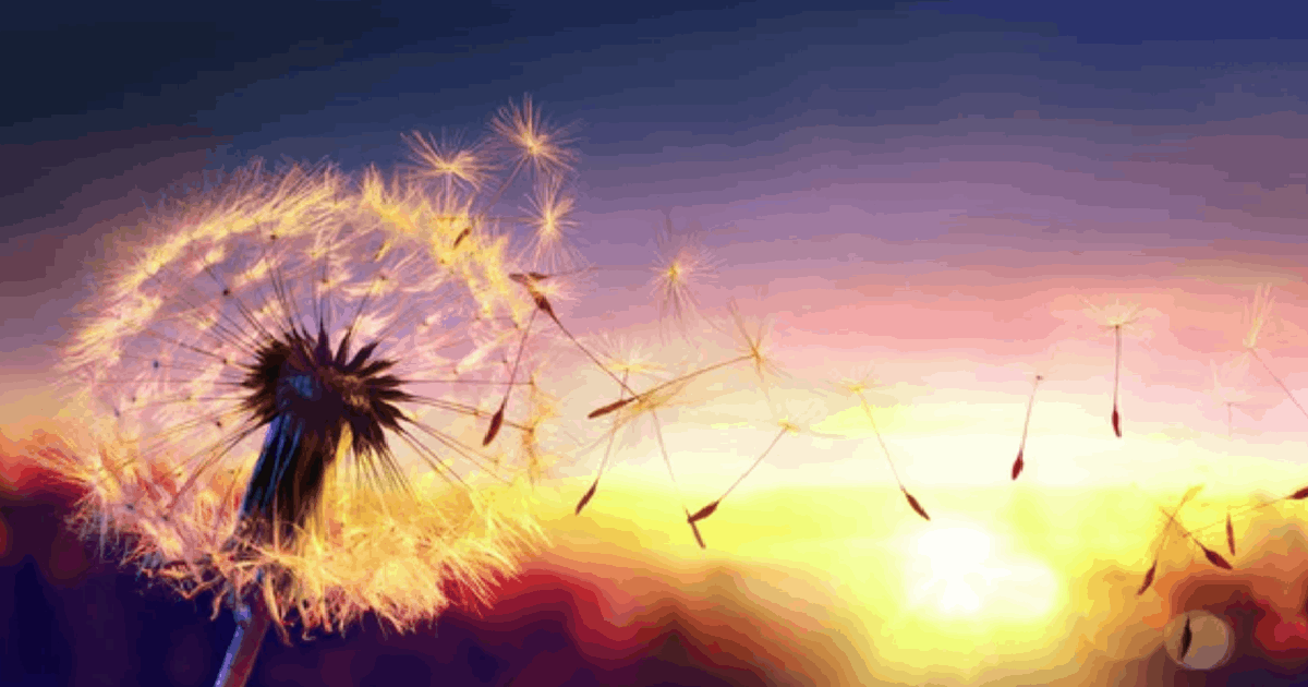 Image analogous of letting go of addictions